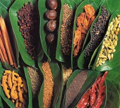 Spice Garden
